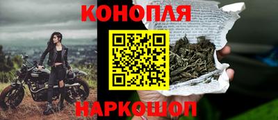 mix Кингисепп